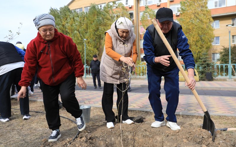 В рамках акции «Таза Қазақстан» в Актюбинской области было высажено около 7300 саженцев