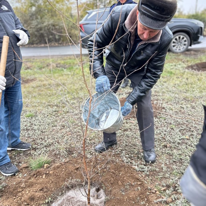 Экибастуз присоединился к республиканской акции «Таза Қазақстан» субботник, экибастуз