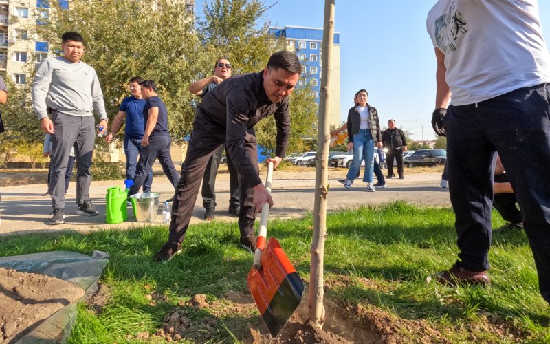 посадка деревьев аким шымкента