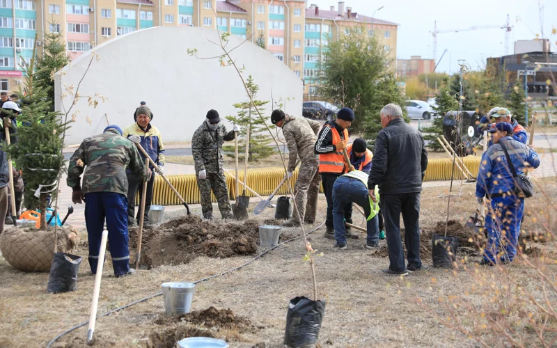 В рамках акции «Таза Қазақстан» в Актюбинской области было высажено около 7300 саженцев