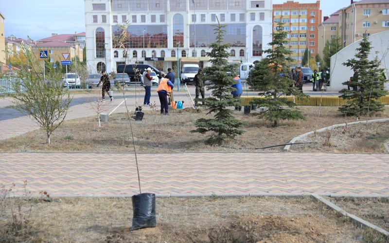 В рамках акции «Таза Қазақстан» в Актюбинской области было высажено около 7300 саженцев