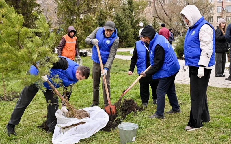 Более 120 тысяч саженцев посадили в СКО в рамках «Таза Қазақстан»