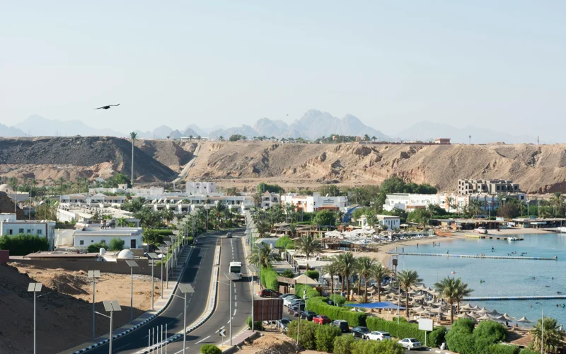 3 Qatari officials die in Egypt traffic accident