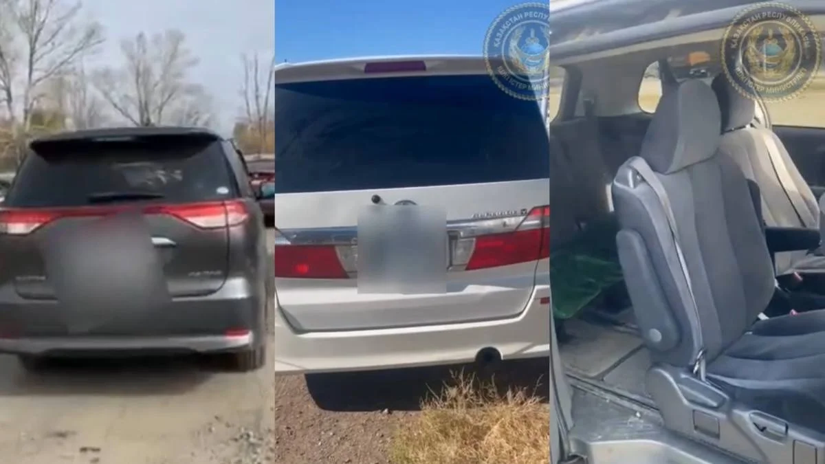 Порно жұлдыз Хейс