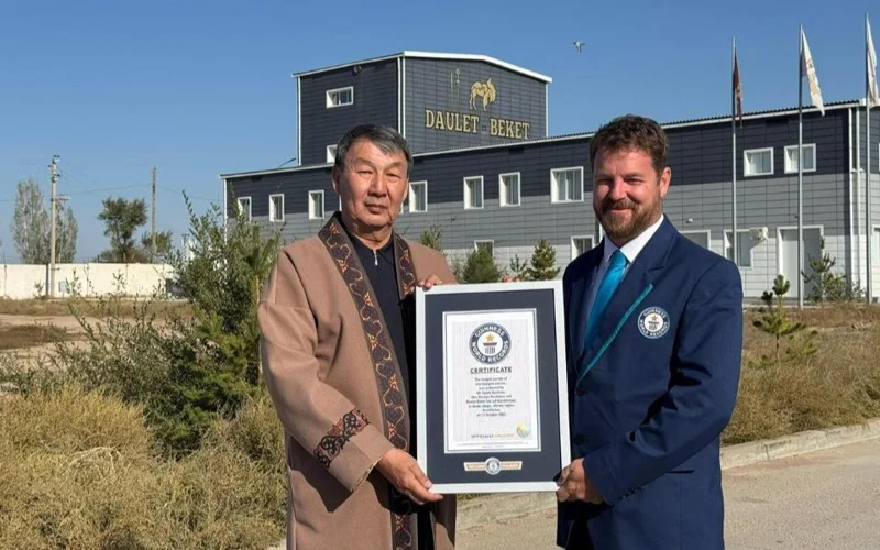 книга рекордов гиннеса