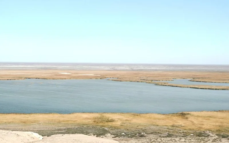 OSCE supports Autumn Biodiversity Monitoring Expedition in Aral Sea region