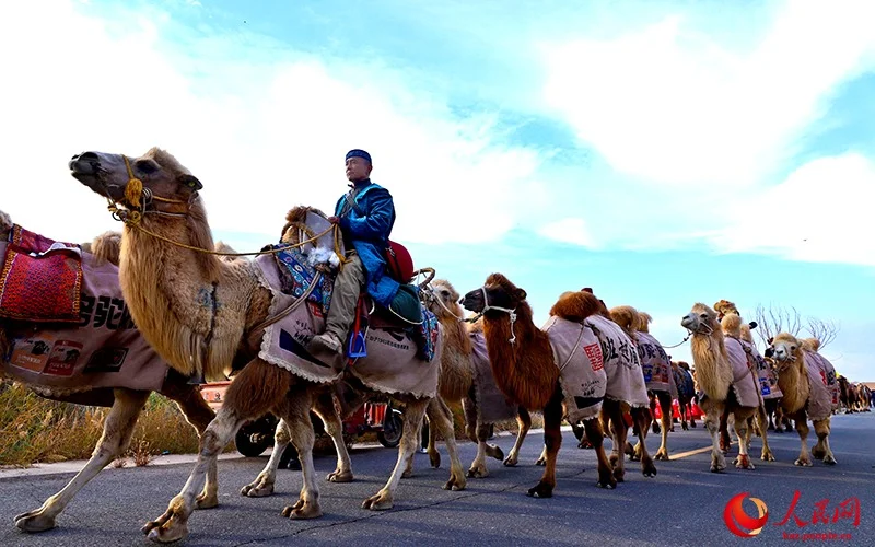 түйе керуен