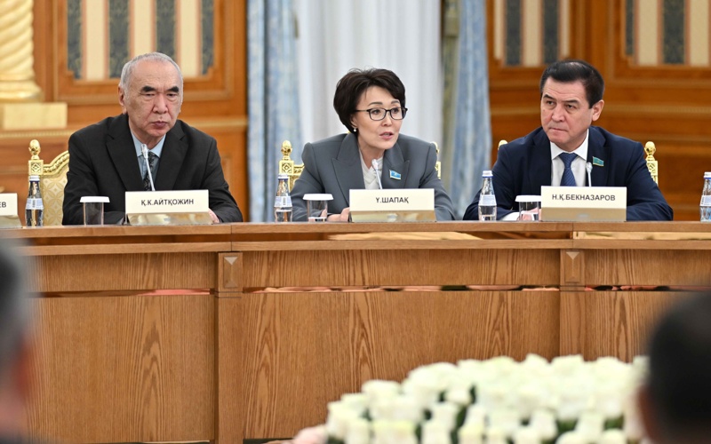 Парламенттік реформа жөніндегі жұмыс тобы