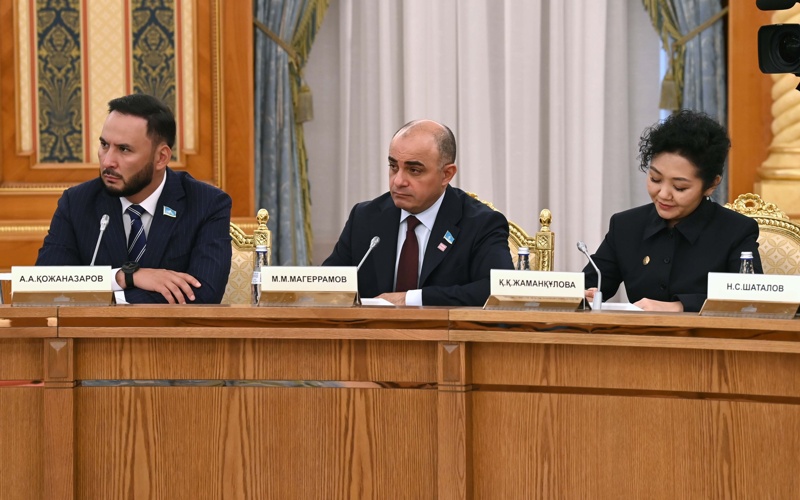 Парламенттік реформа жөніндегі жұмыс тобы