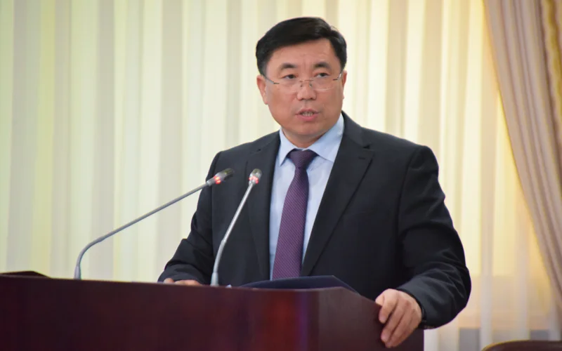 Economic growth slows down in Kazakhstan, Vice Minister