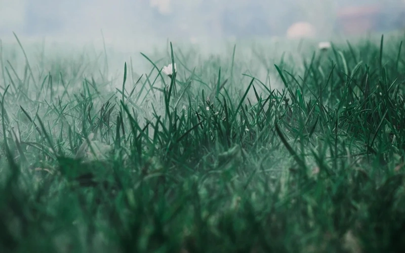 Kazakhstan to brace for fog and dust storms on October 15