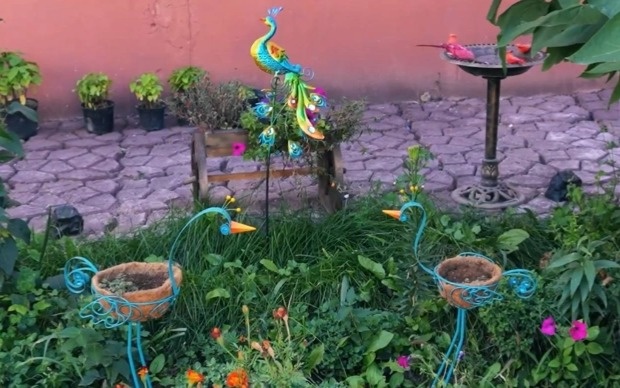 «Таза қала» в Сатпаеве: цветущие дворы и гниющие мусорки «Таза қала» в Сатпаеве: цветущие дворы и гниющие мусорки