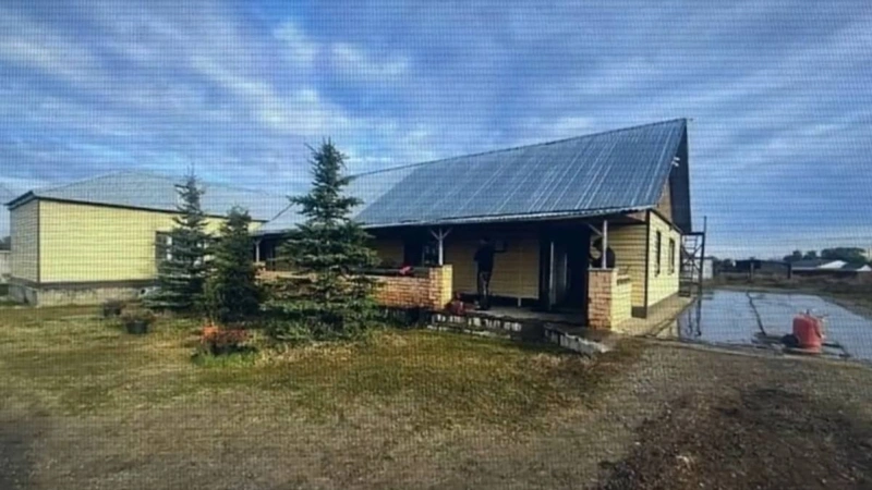 Восемь фактов хищения урожая выявили полицейские в Казахстане с начала осени