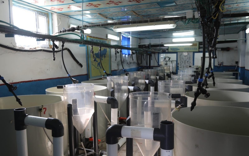 В Кызылорде из-за дефицита электроэнергии завод работал не в полную силу