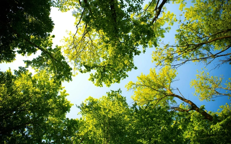 Modern ecopark to replace former landfill site in Shymkent