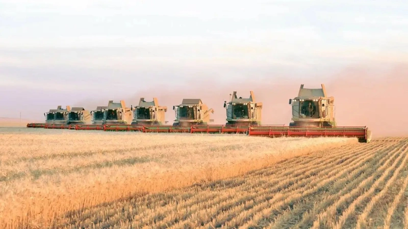 Kazakhstan harvests 25.9 mln tons of grain