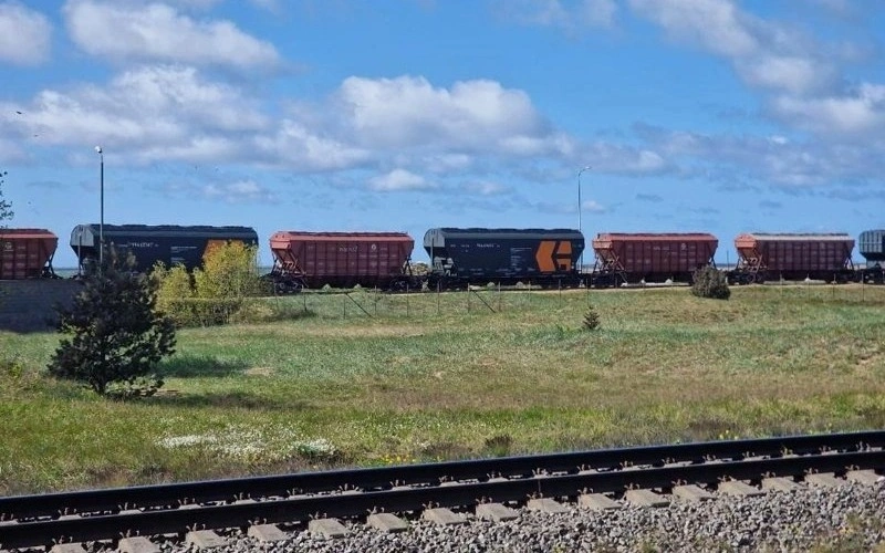 Kazakhstan ready to transport new grain harvest, Transport Ministry