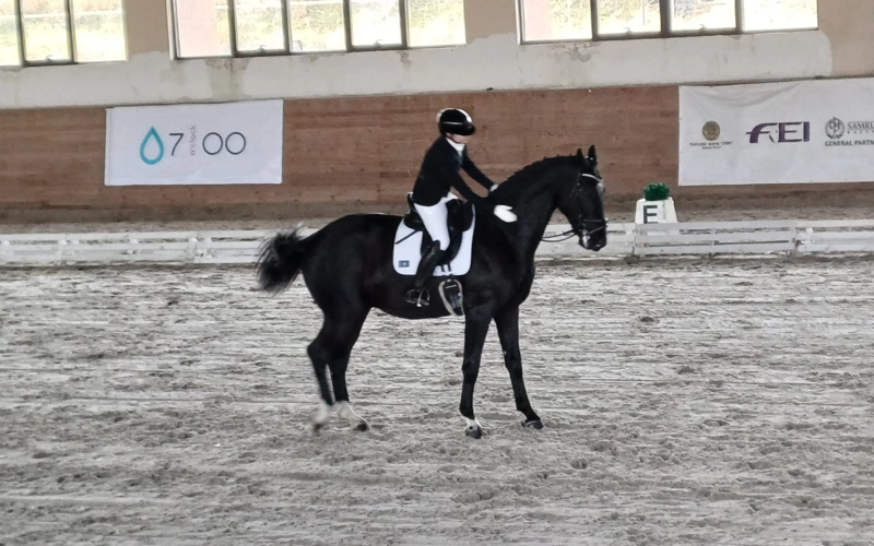 Вернуть победные олимпийские традиции: чемпионат Казахстана по выездке проходит в Алматинской области