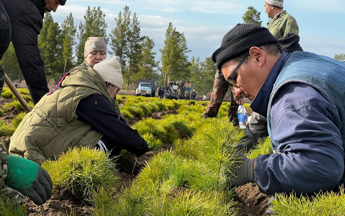 Үлкен кеуделі аналар бейнеленген порнофильмдер