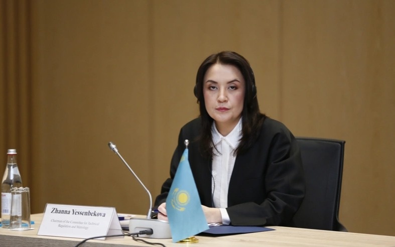 Kazakhstan developing seven national AI standards Zhanna Yessenbekova