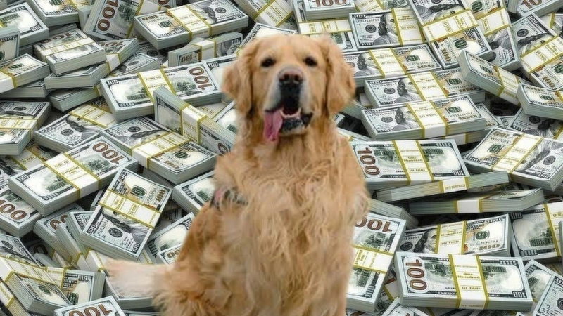 Diane Keaton's dog