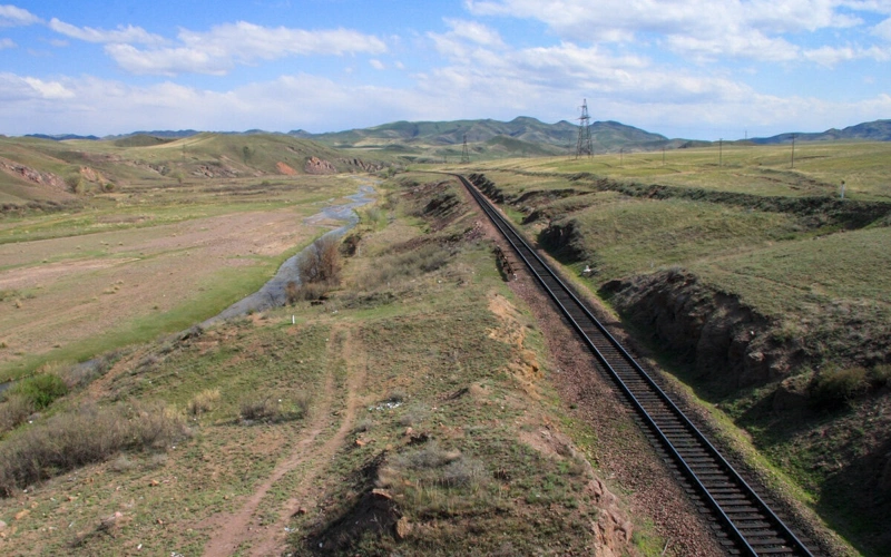 Жители Жетысу теряют скот на железной дороге и просят оградить пути