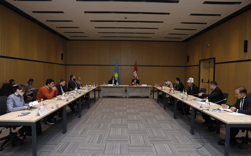 В Казахстане разрабатывают семь национальных стандартов в области ИИ