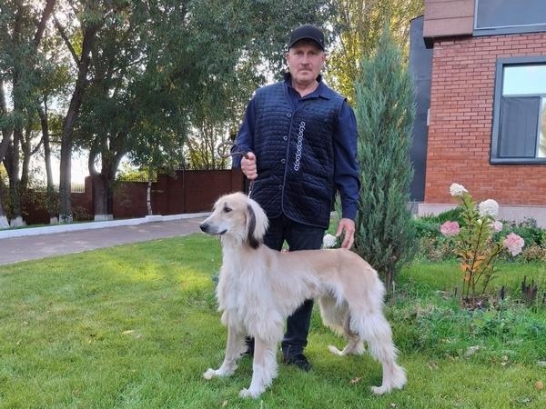 Бюстгалтер мен трусикалардың суреттері Трусикадан жасалған киска фотосы