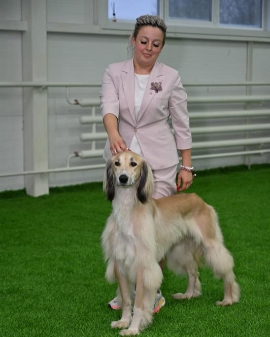 Тайган из Карагандинской области Тайган из Карагандинской области