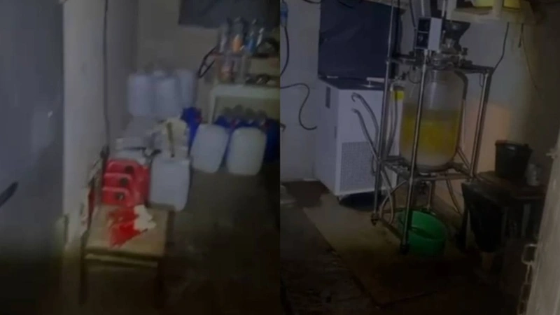 Jetisý oblysynda esirtki zerthanasy joıyldy
