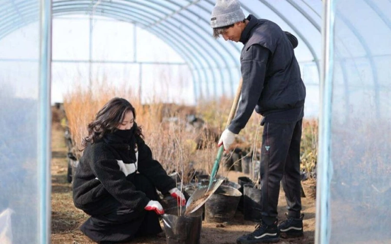 117mln trees planted nationwide under ‘Billions of Trees’ movement