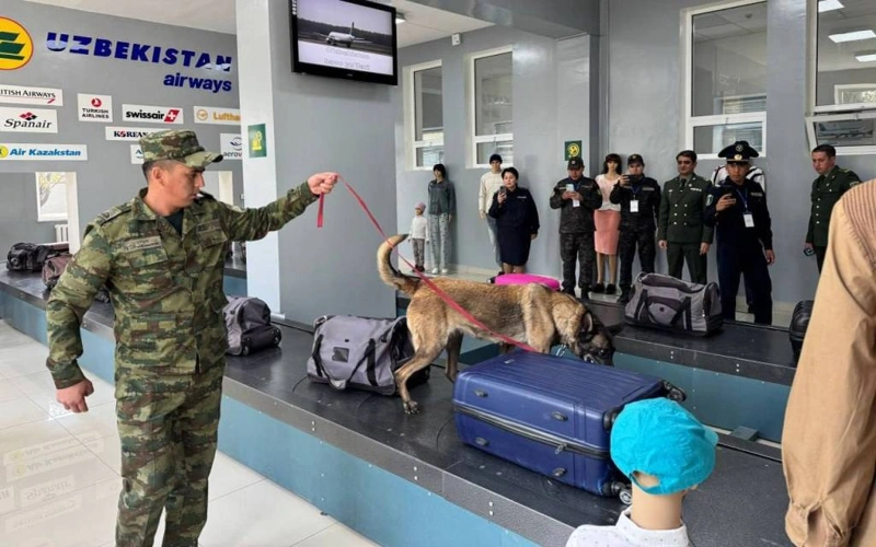 Тошкентда Ўзбекистон, Қозоғистон ва Қирғизистон кинологлари тажриба алмашмоқда