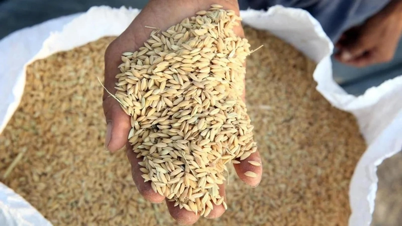 Aliyev says Kazakh grain delivery marks first cargo transit to Armenia