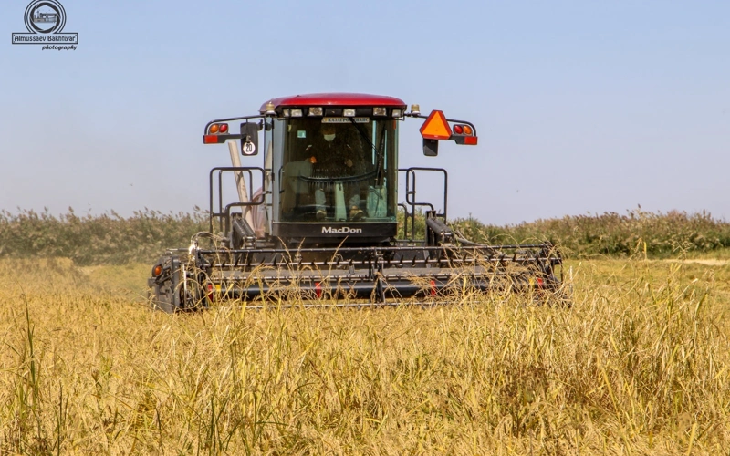 Колледждегі дедовщина порно