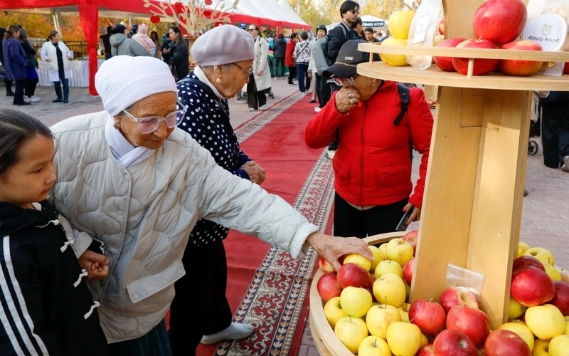 Apple Festival in Almaty: Tons of fruit, music, and good traditions Apple Festival in Almaty: Tons of fruit, music, and good traditions