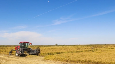 Дана Борисованың қатысуымен порно видеоларды онлайн көріңіз Достық жалаңаш отбасылық фотосурет