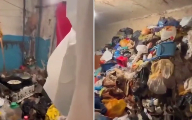 мусор дети дом