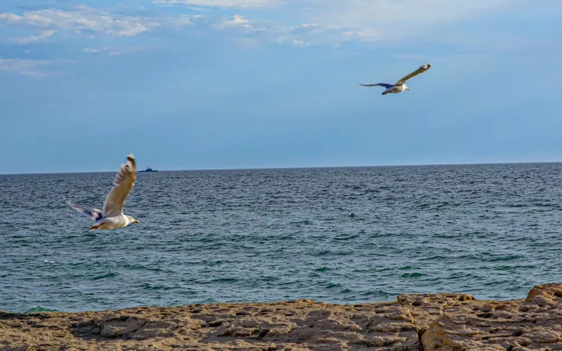 Caspian Sea