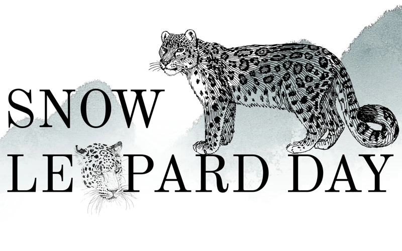 Snow leopard, tigers