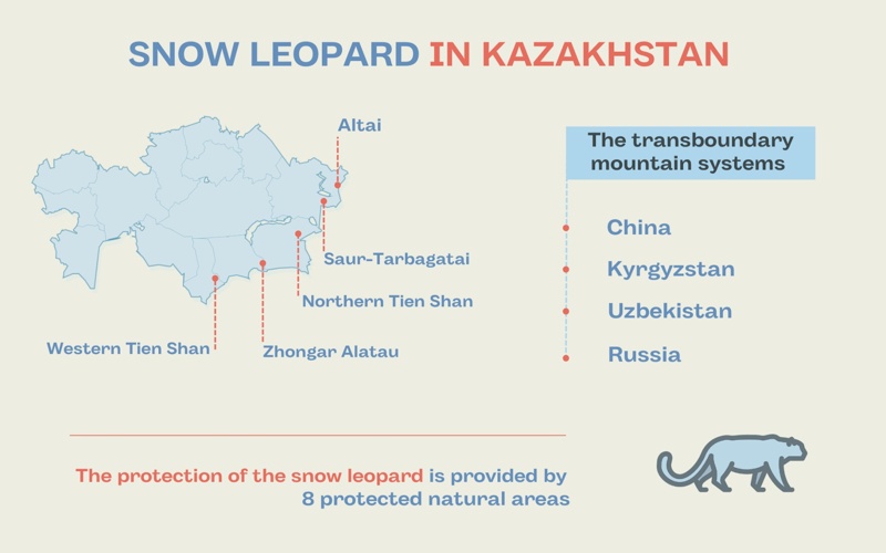 Snow leopard in Kazakhstan Snow leopard, tigers, map, statistics, Kazakhstan