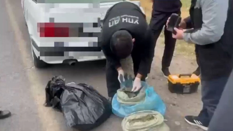 Jambyl oblysynda iri kólemde marıhýana tasymaldaǵan kúdiktiler ustaldy