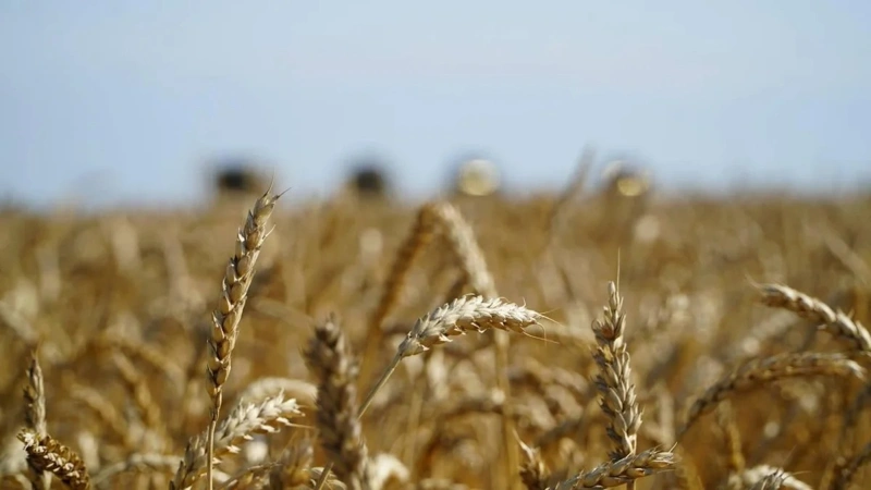 Agricultural output in Kazakhstan increases 2.5-fold