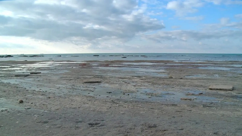 Каспий денгизи