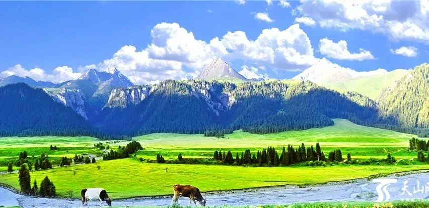 Нарат