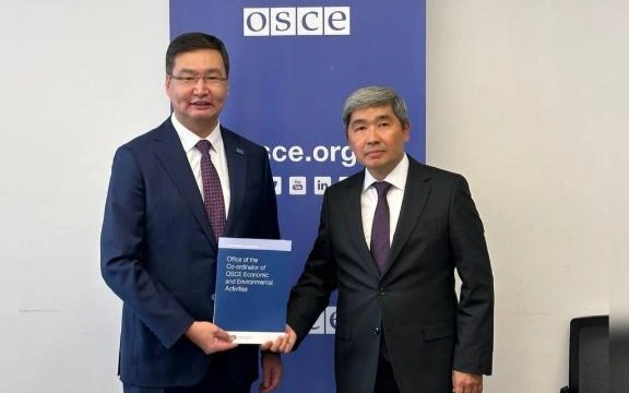 哈萨克斯坦代表团在维也纳与国际组织举行双边会晤