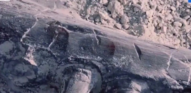 Dinosaur bones discovered in Karakalpakstan