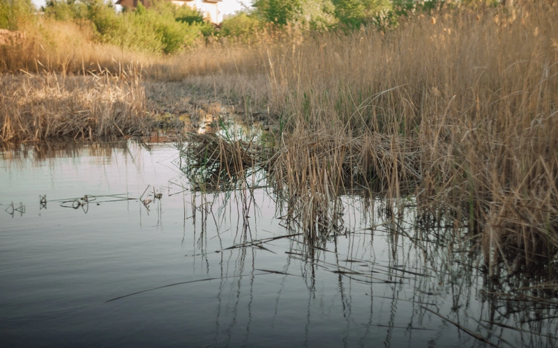 Дожди, туман и ветер ожидаются в ряде регионов Казахстана 26 октября
