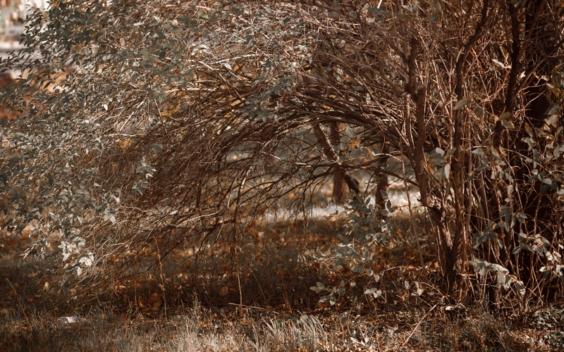 Штормовое предупреждение объявили в 18 областях Казахстана