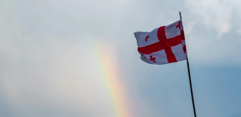 Экс-президент Грузии приняла участие в антиправительственном митинге в Тбилиси