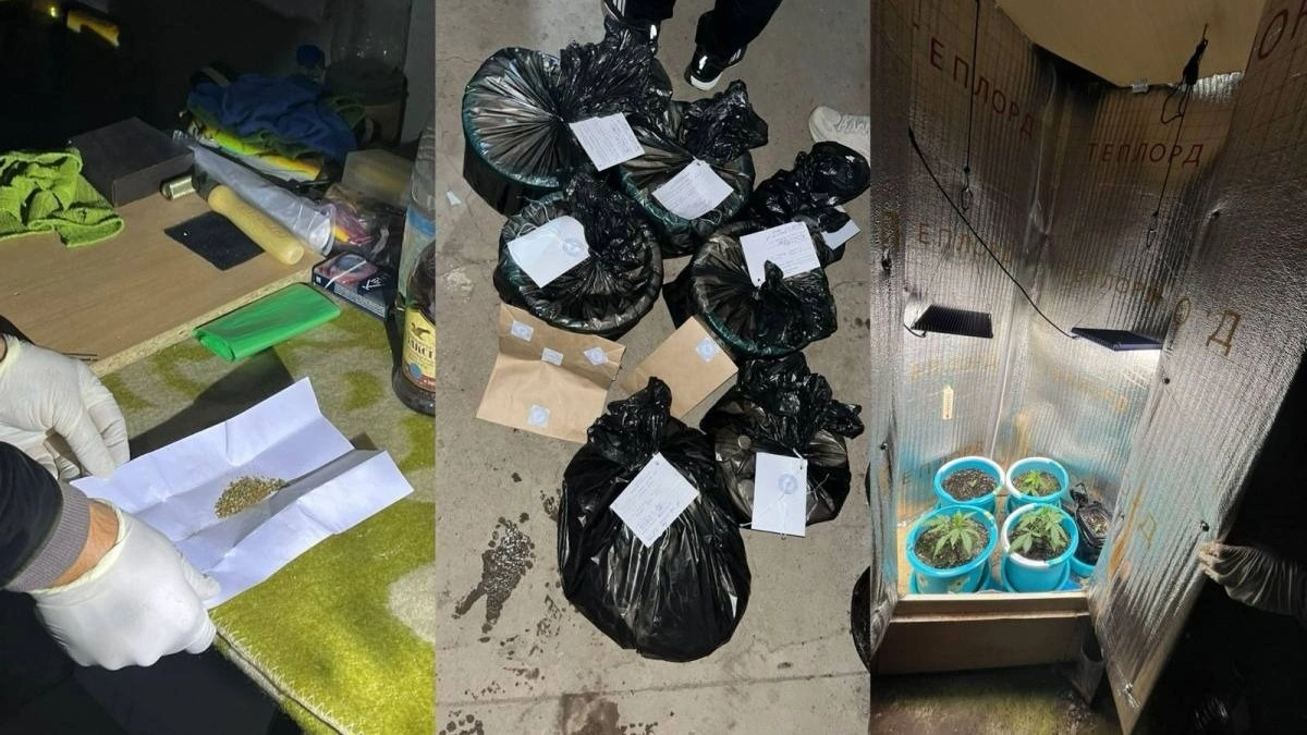 Араның беліндегі секс Ашық порно түсіру